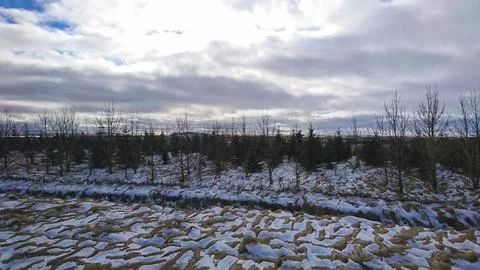 A dramatic winter landscape with snow-covered ground and trees under an overcast Stock Photos