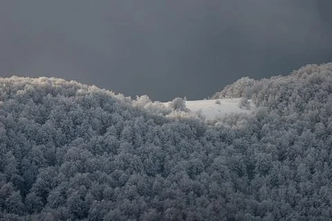 A dramatic winter mountain landscape featuring a frost-covered beech forest.. Stock Photos