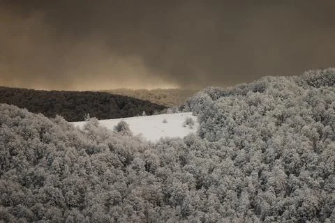 A dramatic winter mountain panorama showing a vast, frost-covered forest un.. Stock Photos