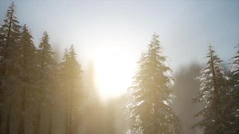 Dramatic winter sunrise in the mountains Stock Illustration