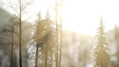 Dramatic winter sunrise in the mountains Stock Illustration