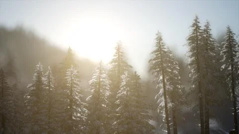 Dramatic winter sunrise in the mountains Stock Illustration