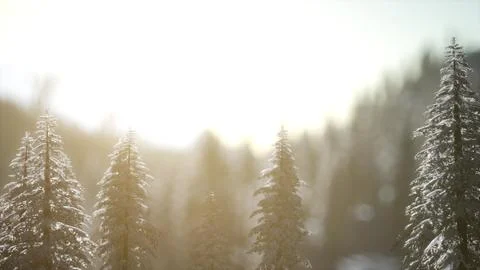 Dramatic winter sunrise in the mountains Illustrazione stock