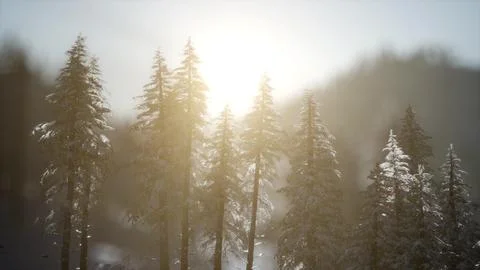 Dramatic winter sunrise in the mountains Stock Illustration