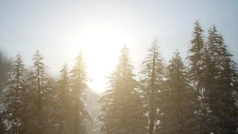 Dramatic winter sunrise in the mountains Stock-Illustration