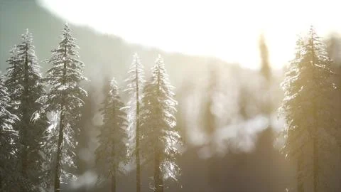 Dramatic winter sunrise in the mountains Illustrazione stock