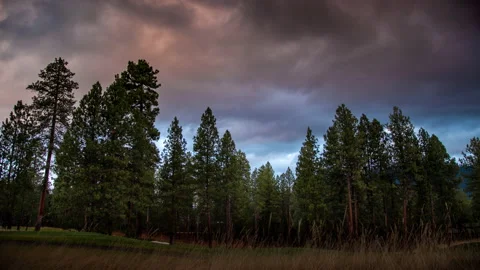 Dramatic Winter Sunset over Pine Trees 4K Timelapse Stockbeeldmateriaal 147243153
