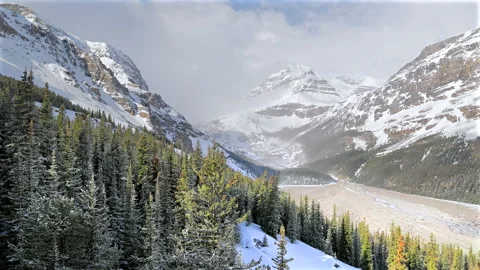 Dramatic winter view of frozen Peyto Lake valley in Banff Stock Footage 337972700
