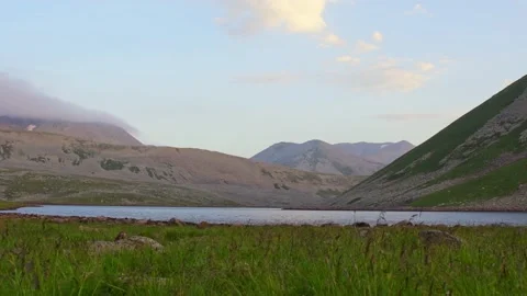 Dramatic zoom in view blue alpine mountain lake surrounded by grassy green mo Stock Footage 201661978