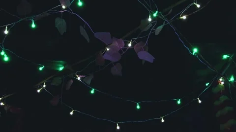 Draped strings of illuminating green and cool white LED mini lights hanging amid Stock-Footage 345971837