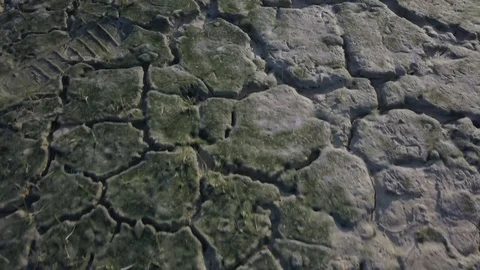 Draught, pan shot of a drying land background Stock Footage 121466082
