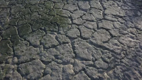 Draught, pan shot of a drying land background Stock Footage 121466127