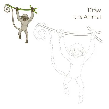 Draw the animal monkey educational game vector Illustrazione stock