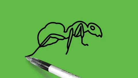 Draw ant insect in black and blue color combination with black outline Vidéo 220080550