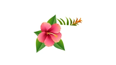 Draw beautiful red lily flower with colourful leaf on white screen background 库存影片 311802430