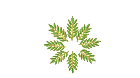 Draw brown flower decorate with circle, bird and joining several green leaf Stock Footage 312928904