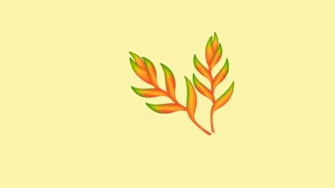 Draw bunch of colourful flower with colourful leaf on yellow screen background Vidéo 311802494