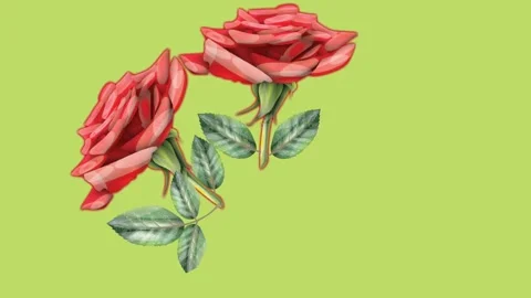 Draw bunch of red rose flower decorate with green leaf in round shape Video stock 317235853