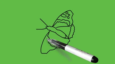 Draw butterfly with spreading its feathers in blue color with black outline Vidéo 220080774