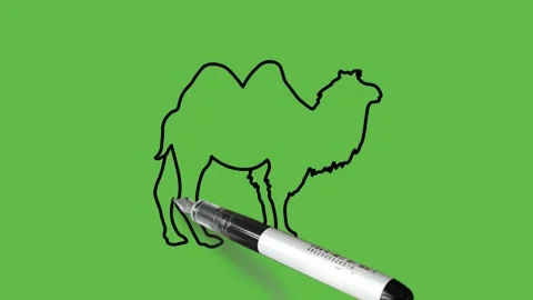 Draw camel standing in light and dark brown color with black outline Видео 220080856