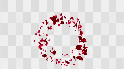 Draw a circle, and red rose petals appear as if by magic (with Alpha Channel) Vidéo 332930807