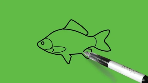 Draw common carp fish in blue color combination with black outline Stock Footage 220081650