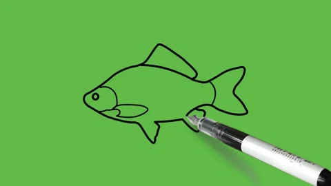 Draw common carp fish in light and dark brown color with black outline Video stock 220081595