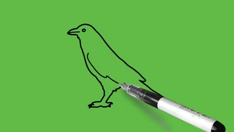 Draw crow in blue color combination with black outline on abstract green back 库存影片 220081270