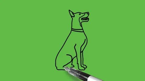 Draw dog sitting on its back paws with black outline on abstract green back Vidéo 220081388