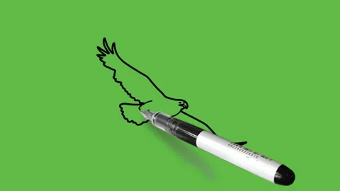 Draw flying eagle in blue color with black outline on abstract green background Stock Footage 220081802