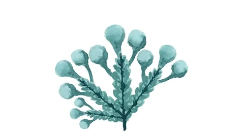 Draw green tree decorate with joining green bud and several flying bird on white Video stock 313554250