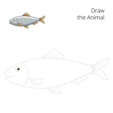 Draw the herring fish educational game vector Stock Illustration