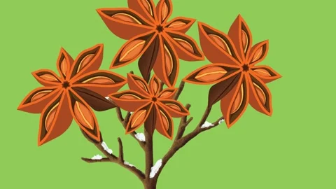 Draw leafless tree decorate with brown flower on green screen background Vidéo 317436029