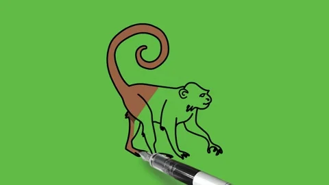 Draw monkey or baboon walking in light and dark brown color with black outline Video stock 220081906