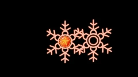 Draw pair of brown flower with star and many colourful butterfly on black back Vidéo 312666981