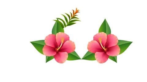 Draw pair of red lily flower decorate with several leaf on white background 库存影片 311802488