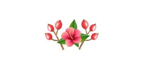 Draw red flower decorate with bud joining brown stem and several green leaf in Vidéo 313554166