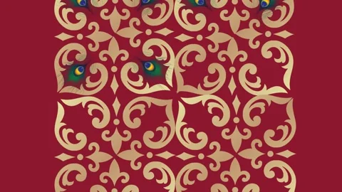 Draw scenery of peacock feather enclose by golden frame on maroon screen back Stock Footage 325444399
