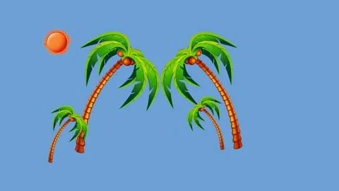 Draw scenery of various coconut tree full of fruit in sunlight on earth in soil Stock Footage 321553422