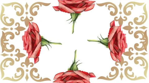 Draw scenery of various red rose flower decorate with golden frame on abstract Vidéo 323310845