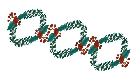 Draw series of joining pair of red flower decorate with colourful butterfly Vidéo 314069369