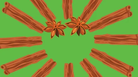 Draw set of brown flower in circular shape on green screen background Vidéo 319827731