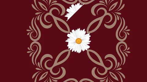 Draw set of five white flower enclose by golden frame on maroon background Stock Footage 325444379