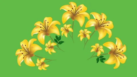 Draw set of five yellow lily flower decorate with green leaf in round shape Vidéo 317436240