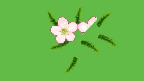 Draw set of joining pink flower decorate with green leaf in triangular shape Видео 312928896