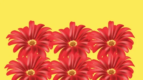 Draw set of red flower in square shape on yellow screen background 動画素材 319827768