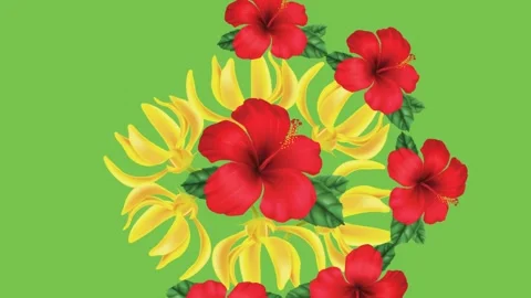 Draw set of red lily flower decorate with green leaf, butterfly, yellow flower Stock Footage 319804745