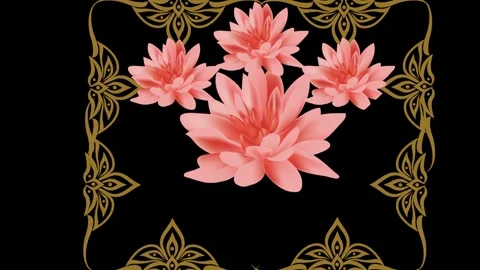 Draw set of several red lotus flower decorate with golden frame in square shape Stock Footage 323310957