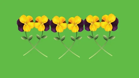 Draw set of three white yellow pot decorate with several purple yellow flower on Stock Footage 325444381