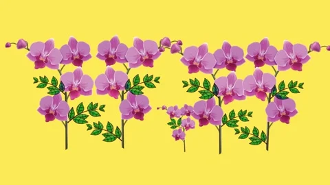 Draw set of various pink flower decorate with green leaf on land in soil in line Stock Footage 319827740